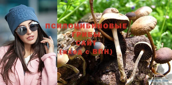 сатива Богородск
