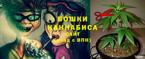 сатива Богородск