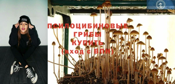MESCALINE Богданович