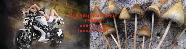 MESCALINE Богданович