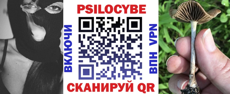 Псилоцибиновые грибы Psilocybine cubensis  Купить  Ветлуга 